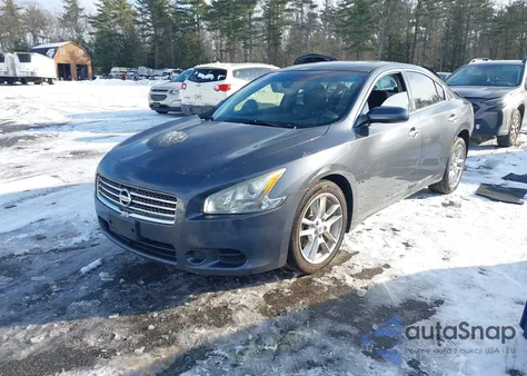 2009 Nissan Maxima 3.5 S z USA, uszkodzony, nr VIN 1N4AA51E59C834162